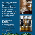 Mizaca Göre Bitki