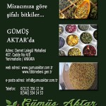 Omurgadaki Hastalıklar Kesin Çözümle Tedavi Edilmeli